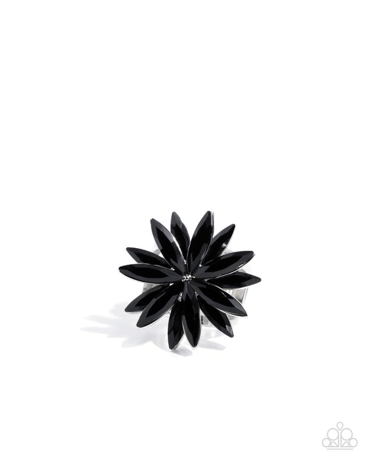 Sophisticated Shine - Black