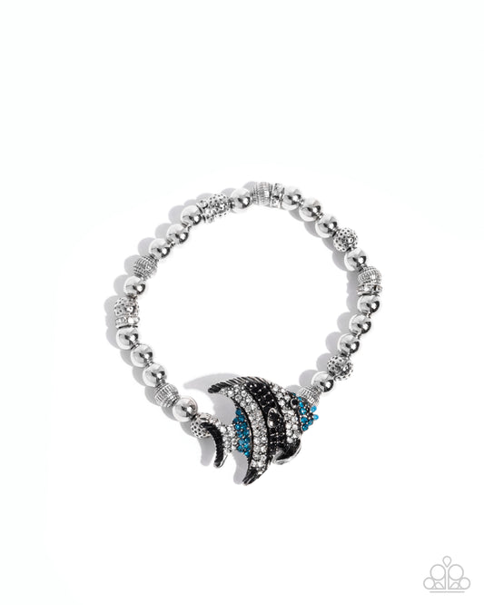 Admirable Angelfish - Blue