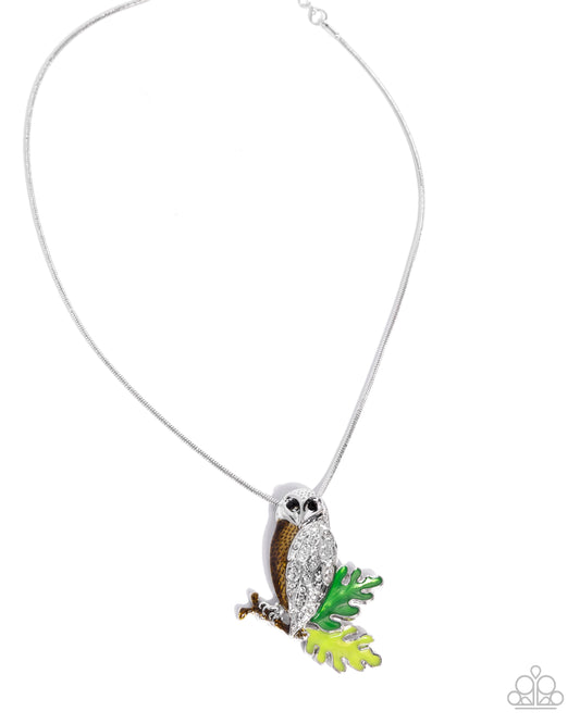 Owl Order - Brown