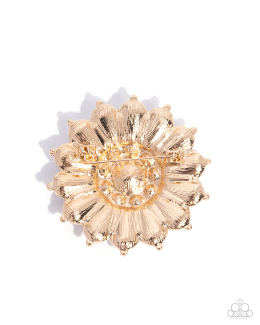Polished Panorama - Gold