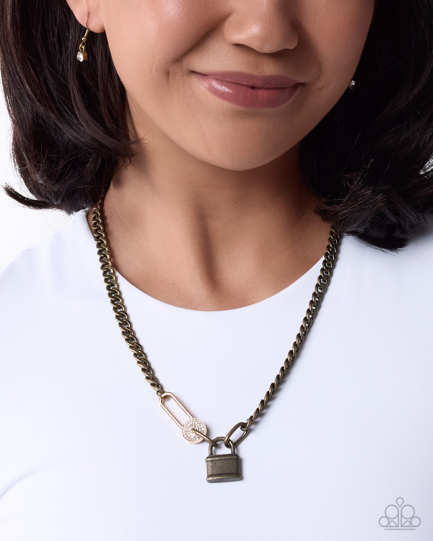 Polished Protection - Brass
