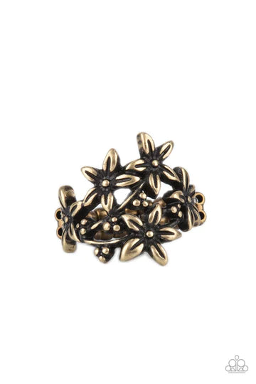 Prairie Primrose - Brass - Paparazzi Accessories